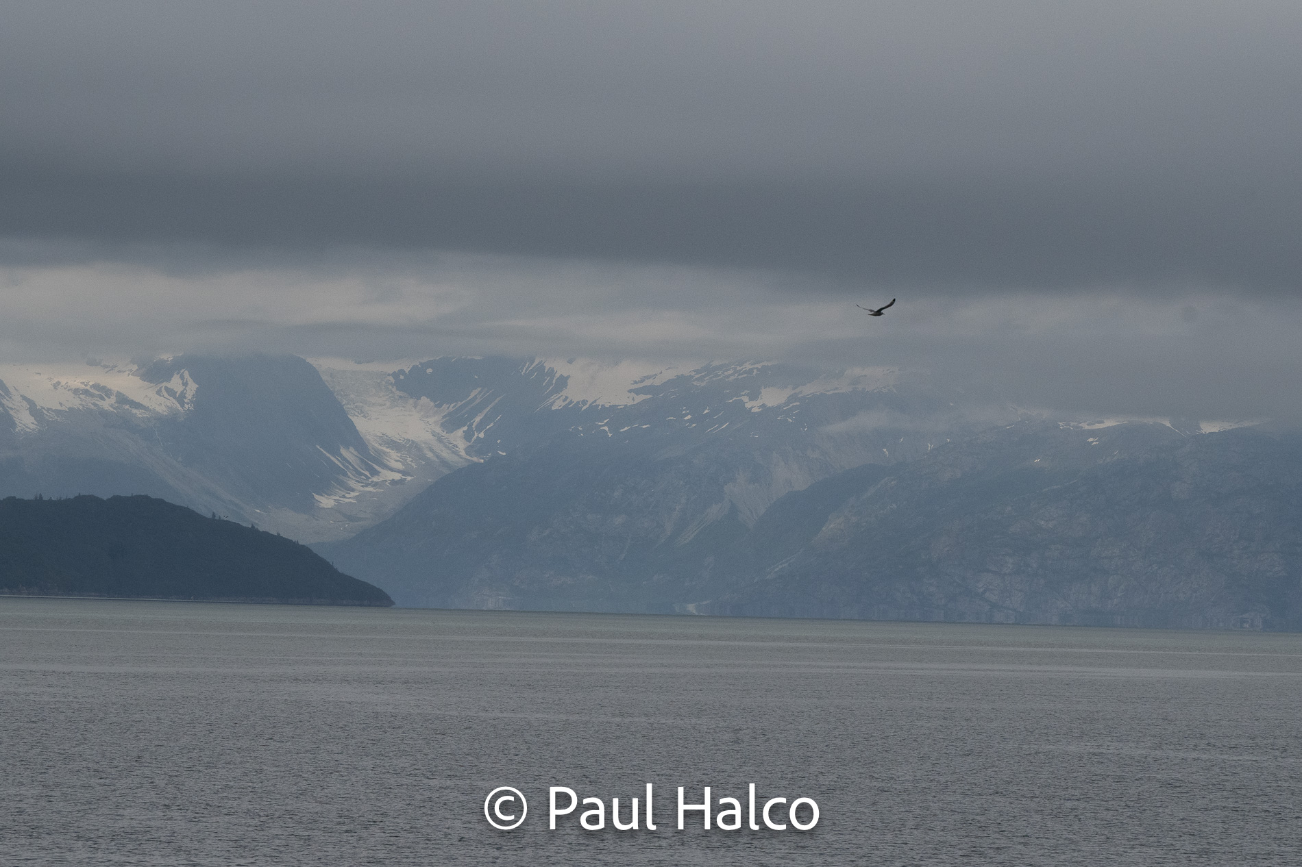 Paul Halco - Glacier Bay NP-21